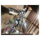 Roadmaster Mt. Sport SX 22" Women