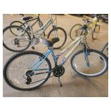 Roadmaster Mt. Sport SX 22" Women