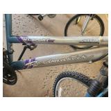 Roadmaster Mt. Sport SX 22" Women