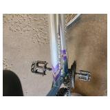 Roadmaster Mt. Sport SX 22" Women