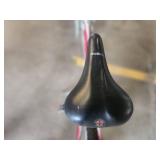 Schwinn Frontier 20" Boy