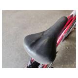 Schwinn Badger 22" Men