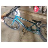 Roadmaster Chromium Edition 22" Men