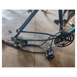 Roadmaster Chromium Edition 22" Men