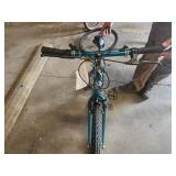 Roadmaster Chromium Edition 22" Men