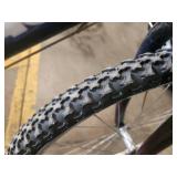 Diamondback Surrento 22" Men