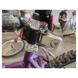 Schwinn Supreme Cruiser 22" Women