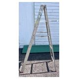 6 ft Aluminum Ladder & Garden Hose