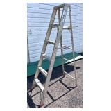 6 ft Aluminum Ladder & Garden Hose