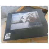 (CSB) Box of 8 New Wildfowl of Nort...