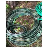 Collection of Garden Hoses in Various Lengths and Colors