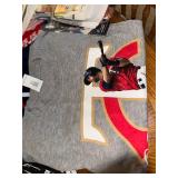 Assorted Twin Season Ticket Holder Promotional Game Baseball Merchandise Collection