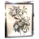 Vintage Audubon Bachman
