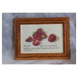 Set of 9 Strawberry Themed Serving Trays with Framed Artwork