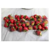 Decorative Strawberry-Themed Basket, Bowl, and Candle Holder Set
