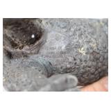 Decorative Rhino Figures Set and Brass Owl Sculpture