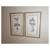 Floral Botanical Prints Pair
