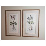 Floral Botanical Prints Pair