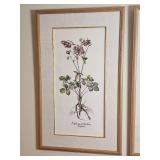 Floral Botanical Prints Pair