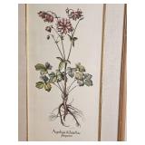 Floral Botanical Prints Pair