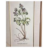 Floral Botanical Prints Pair