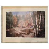 Naturalist Fine Art Print - David A. Mass - Cascade Crossing - Ruffed Grouse