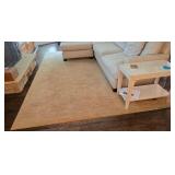 Stunning Light Beige / Sand Area Rug - 8