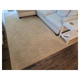 Stunning Light Beige / Sand Area Rug - 8
