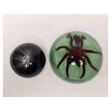 Pair of Acrylic Paperweights Including Genuine Tarantula