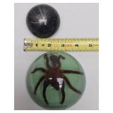 Pair of Acrylic Paperweights Including Genuine Tarantula