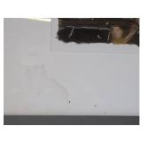 Very Nice Looking Framed Serigraph by Jennifer Bartlett - "Earth Fireworks"