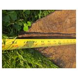 Monumental LARGE Signed Brazilian Leaf 3D Wall Sculpture