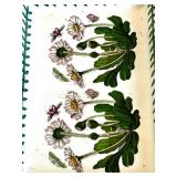 Vintage Portmeirion Botanic Garden Butter Dish with Lepidotum Rhododendron Design and other Botanical Kitchen Pieces