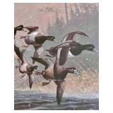 "Feathered Jets from the North" by Les C. Kouba Framed Print