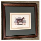 Pair of Framed Dog Prints: French Basset and Foxhound