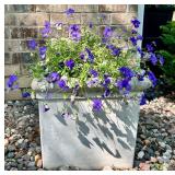 Square Concrete Planter with Purple Flowers