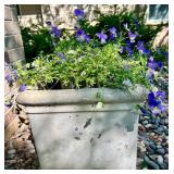 Square Concrete Planter with Purple Flowers
