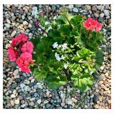 Vintage Metal Plant Stand with Basket Design