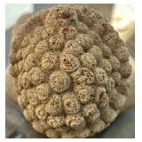 Outdoor Concrete Buddha Garden Statue