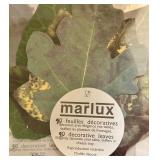 Assorted Decorative Table Doilies and Leaves Collection