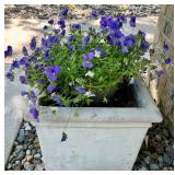 Square Concrete Planter with Purple Flowers