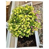 White Elevated Outdoor Planter with Blooming Flowers