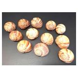 Set of 12 Porcelain Shell Escargot Dishes with Forks and Bonus Shells