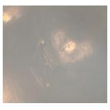 Vintage Heisey Glass Punch Bowl Set with 8 Cups