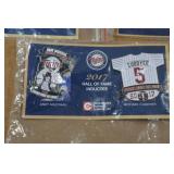 Minnesota Twins Pins