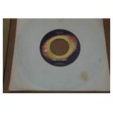 The Beatles 45 Vinyl Records