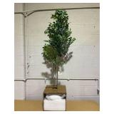 Moringa Artificial Tree Green - Threshold Designed with Studio McGee: Unlit, Polyester, Indoor Decor
