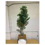 Moringa Artificial Tree Green - Threshold Designed with Studio McGee: Unlit, Polyester, Indoor Decor
