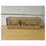 LifeLike Olive Tree 183cm/6ft