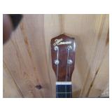 2 Ukuleles